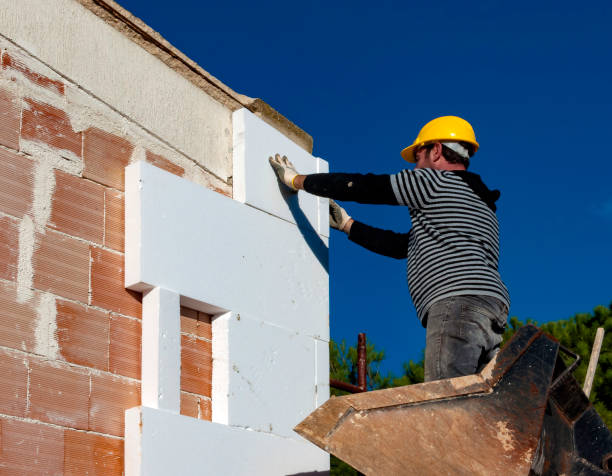Best Types of Insulation in Fabrica, TX