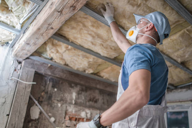 Best Insulation Materials and Products in Fabrica, TX