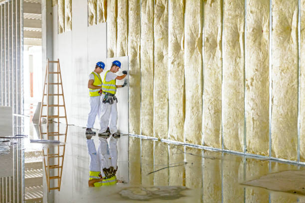 Best Residential Insulation in Fabrica, TX